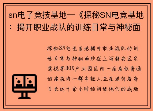 sn电子竞技基地—《探秘SN电竞基地：揭开职业战队的训练日常与神秘面纱》